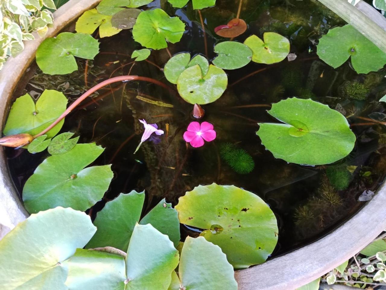 A Lanna Boutique House Hotell Chiang Mai Eksteriør bilde
